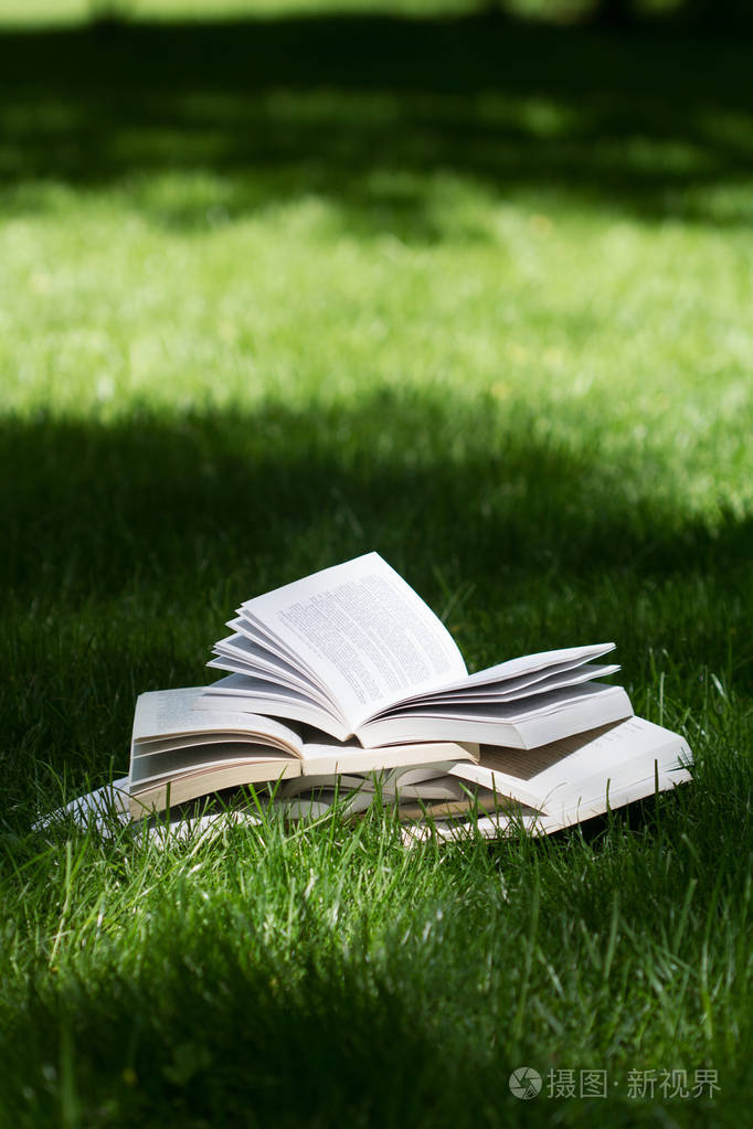 在一个绿色的公园中打开书籍在草地上