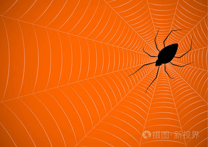 万圣节蜘蛛挂web背景