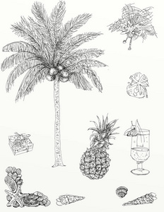 棕榈和热带成分为老式布设计