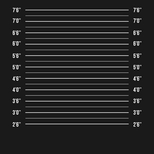 警察照片阵容孤立.监狱背景.矢量图照片