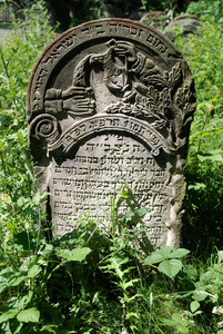 奥扎罗的旧犹太墓地。 波兰