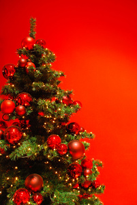 红色背景上美丽的圣诞树。
