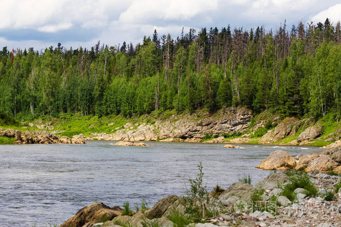 叶尼塞河畔小大条支流.俄罗斯克拉斯诺雅斯克地区