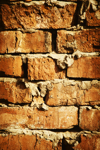 砖壁 砖墙