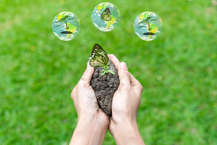人植物提供植被图片