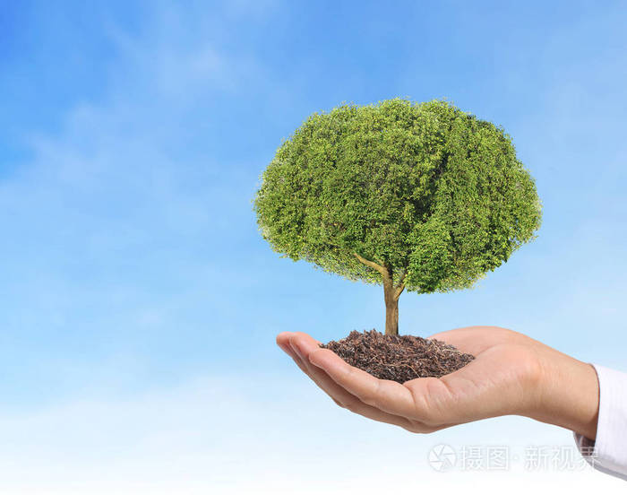 手捧植物树