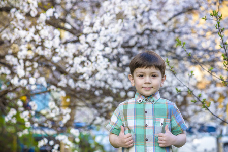 在春天的时候，附近树上微笑快乐 b 幼儿男孩