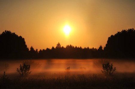 太阳刺眼美丽的日落,在草地上阳光刺眼照片