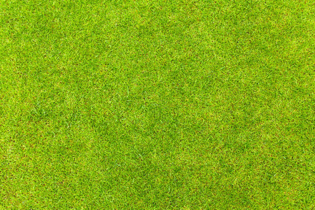 鸟瞰视图图片-鸟瞰视图素材-鸟瞰视图插画-摄图新视界