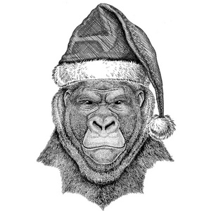 大猩猩 猴子 猿可怕动物穿着圣诞帽子新的一年平安夜圣诞快乐和新年快乐动物园生活假期庆祝圣诞老人帽子