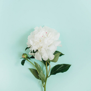 样机,顶视图混合的花朵拼贴: 白牡丹,红玫瑰和玫瑰玫瑰,黄色装饰