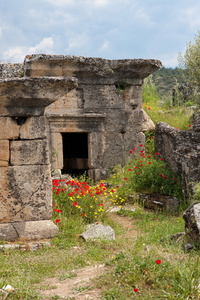 古代石棺