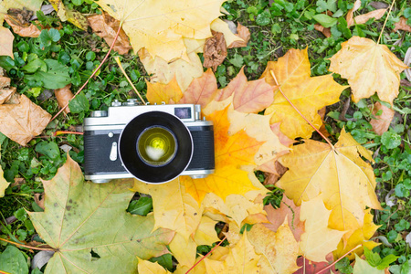 老相机上的黄色的秋天叶子