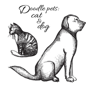 猫和狗的素描。矢量