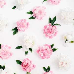 花朵图案的粉色和白色的芍药花