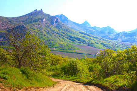 克里米亚山区的道路