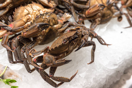螃蟹在海上鱼市场照片