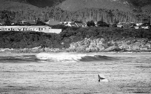 在赫曼努斯，南非黑人和白人的鲸鱼尾巴