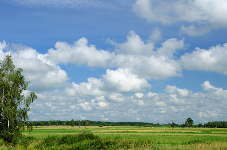 乡村景观