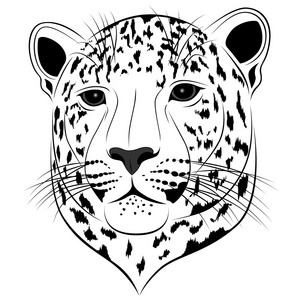 豹 纹身