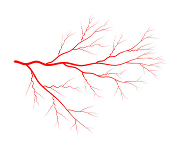 静脉血液系统矢量符号图标设计。美丽的说明