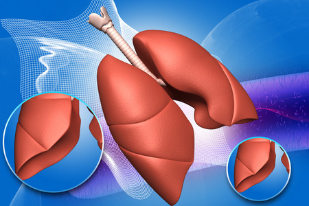 数码插画对人的肺部，在彩色背景