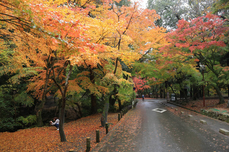 在奈良，日本春日泰山的走道