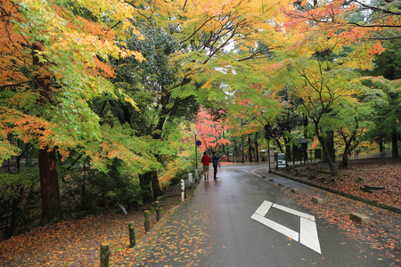 在奈良，日本春日泰山的走道