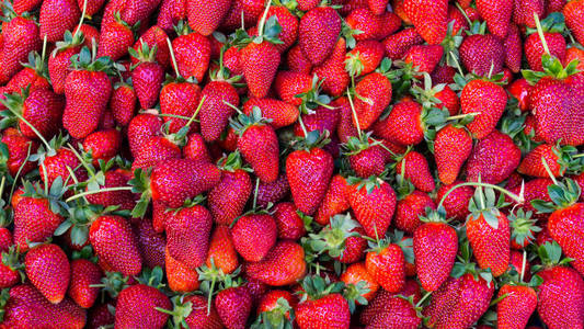 红色的草莓。背景食物