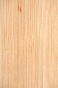 樱桃木单板图片