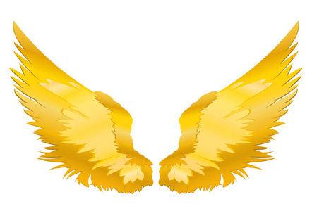 翅膀的颜色图片