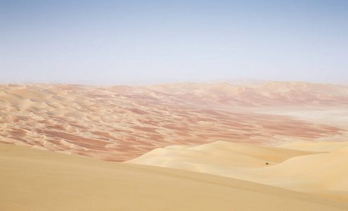 利瓦沙漠的沙丘上