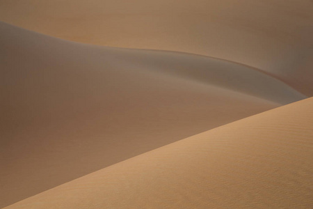 利瓦沙漠的沙丘上