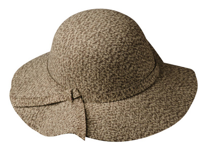 头戴呢帽。帽子上白色 background.brown 帽子孤立