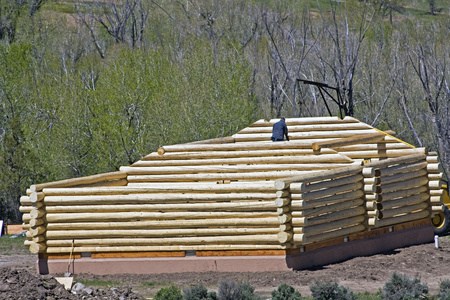 建造新的原木屋