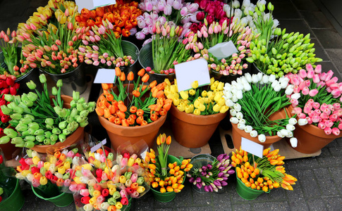 从花店出售给花卉市场郁金香花束