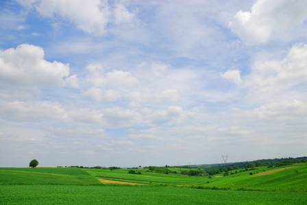 春季景观