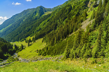 美丽的山景观在喀尔巴阡山