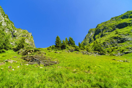 美丽的山景观在喀尔巴阡山