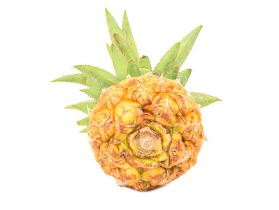 迷你水果图片-迷你水果素材-迷你水果插画-摄图新视界