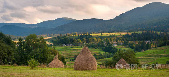 在阳光明媚的日子草垛的字段.乡村景观;嘿,滚在了外地在乌克兰山区