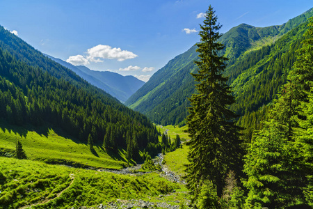 美丽的山景观在喀尔巴阡山