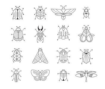 虫子，昆虫，蝴蝶，瓢虫设置