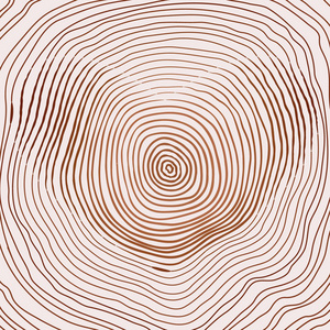 年轮图片-年轮素材-年轮插画-摄图新视界