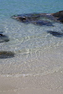 海 海洋 许多 大量