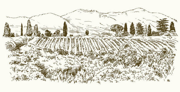 少女时代葡萄图片