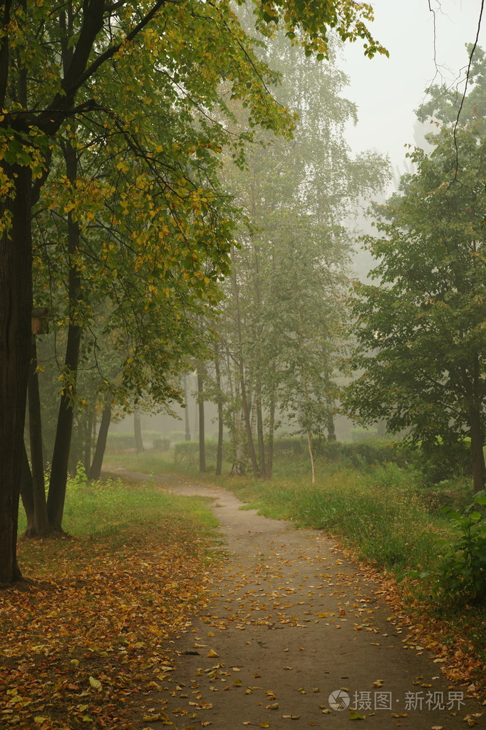 公园里雾蒙蒙的早晨