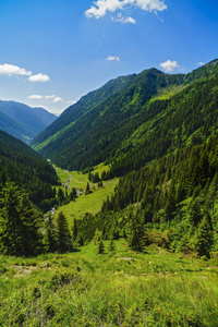 美丽的山景观在喀尔巴阡山