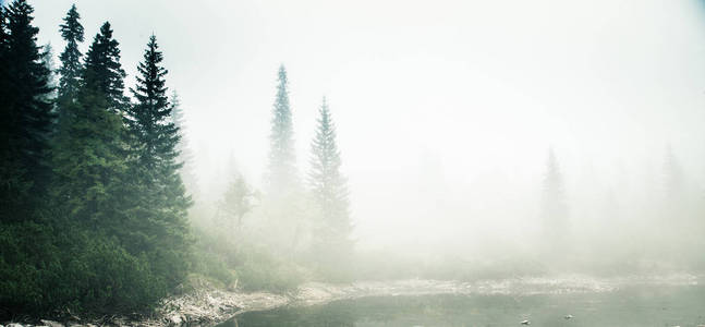 低饱和度复古风格照片