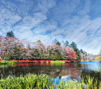 在秋天的季节，日本美丽轻井泽